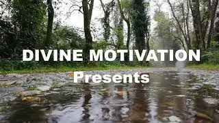Rain sounds in forest - Nature at its best