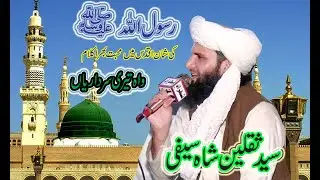 Wah teri sardariyan || واہ تیری سرداریاں || Syad Saqlain Shah || mehfil milad 39 gd