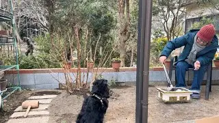 🪴 Garden Work in Japan: Time in the Garden with My Wife &ndash; Japan Garden