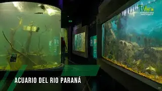 Acuario del rio Paraná - TvAgro por Juan Gonzalo Angel Restrepo