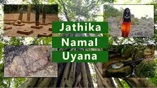 Jathika Namal Uyana - Dambulla | Sri Lanka