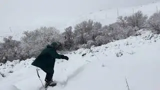 neighborhood revs on the PreDog PowSkate