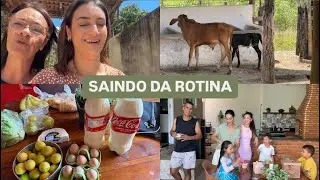 FOMOS EM UMA FAZENDA | BOLO DE FLOCÃO DA MAMIS| LASANHA NA FRIGIDEIRA | TARDE NA IRMÃ | LAÍS VELOSO