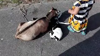 VID 20200503 073919