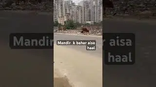 No civic sense .#civic #sense #india #shortsvideo