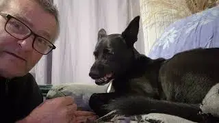 #Je suis le v&eacute;t&eacute;rinaire de Biguglia Papi Corse et Jo 13 12 25 FR