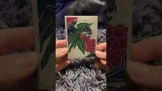 Rate the Charizard & Braixen!