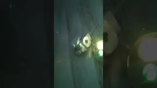 пов те самые ночники в реках #combo #apexlegends #apex #csgo #comedy #food #fortnite #foryou