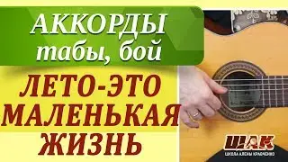 ЛЕТО-ЭТО МАЛЕНЬКАЯ ЖИЗНЬ - О.Митяев как играть на гитаре. Уроки игры на гитаре для начинающих