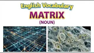1608) Matrix ... word meaning, synonym, antonym .... English vocabulary for SSC, CGL, CAT