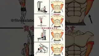4 Exercise to Build Bigger Wings at Gym Workout#shorts#wingsworkout