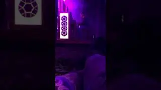 Ocular Organ Electric Forest 2018
