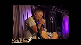 Marko Balland Harmonica Player 