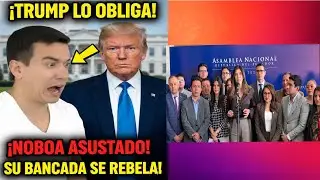 ¡NOBOA CONTRA LAS CUERDAS! 🚨 Trump lo obliga a volver y su propia bancada ADN lo traiciona