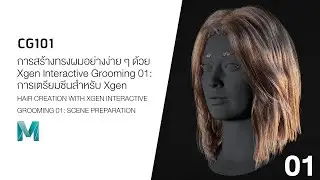 CG101 การสร้างทรงผมอย่างง่ายๆ ด้วย XGEN Interactive Grooming 01: การเตรียมซีนสำหรับ XGEN