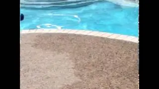 Reverse video/ dive into pool