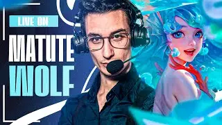 [STREAM] TOCA IR PREPARANDO LA BILLETERA PARA FEBRERO...