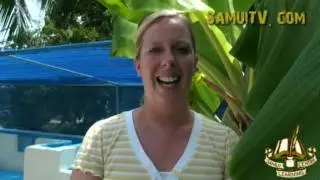 News from Samui week 39 2008 by SamuiTV.com