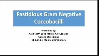 Fastidious gram negative coccobacilli