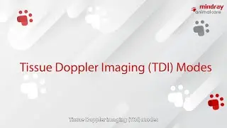 Basic Procedures for TDI & TDI QA