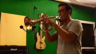 Earthquaker Devices Bit Commander + Trumpet