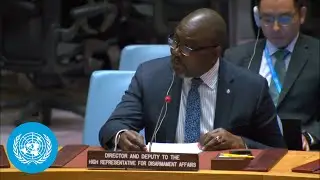 Syria Chemical Weapons Briefing: UNODA | Security Council | United Nations