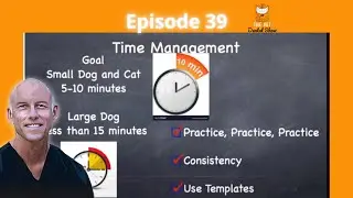 Ep 39 - What medications do you recommend for cats that are fractious? and few more questions