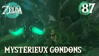 Myst&eacute;rieux Gondons [The Legend of Zelda: Tears of the Kingdom] #87