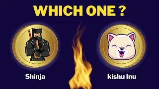 Kishu Inu vs Shibnobi Shinja 