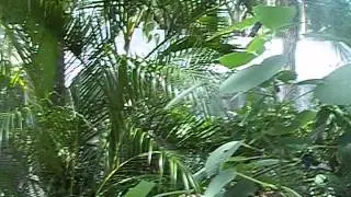 Zaksee Bird sanctuary