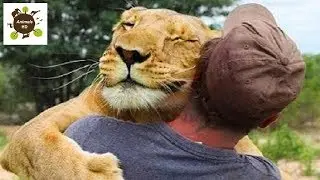 Cutest Animals Hugging Peoples - Animals HD