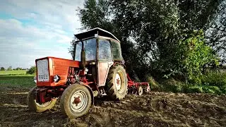 Uprawa agregatem przed siewem pszenicy | Władimirec T-25