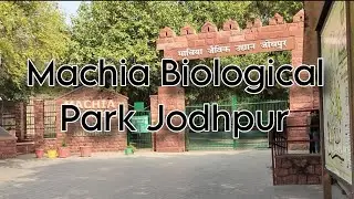 Machia Biological Park -Jodhpur | Jodhpur Zoo | Sky vlogs 