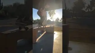 Tre flip tail grab
