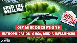 Misconceptions: Eutrophication, GHGs, Media Influence | Ocean Iron Fertilization | Liquid Trees #013