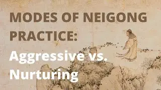 Modes of Neigong Practice: Aggressive vs. Nurturing | Wang Liping Taoist Cultivation