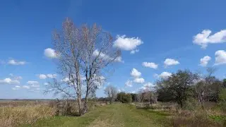 Sunnyhill Restoration Area Trails, Umatilla, Florida.  Slideshow.