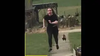 Birds VS People 😂 | best Funny Bird Videos