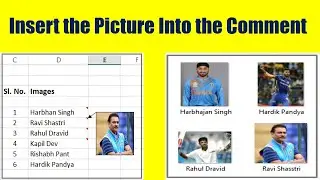 How to Insert the Picture Into the Comment in Excel (In Hindi)