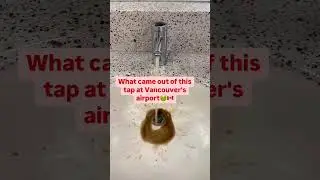 That's gross🤢😭 Credit: Grtrns #canada #toronto #brampton #burlington #ottawa #ontario #montreal