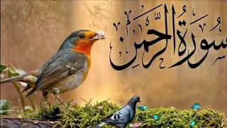 Surah Ar Rehman سورة الرحمن  Beautiful Recitation peaceful and heart touching|