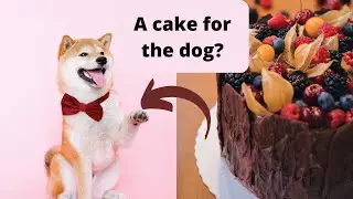 How to Throw a Themed Birthday Party for Your Dog: Tips and Ideas for an Unforgettable Celebration!