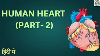 Life processes | human heart | &mdash; In Hindi (हिंदी में) #Tannu techscience#biology
