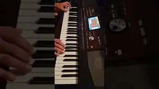 Ricchi e Poveri-Cosa sei (Korg piano)  #korg #piano #music #pianocover #lovesong #Ricchiepoveri