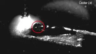 Welding Defect  - Watch How Slag Inclusion Happens!
