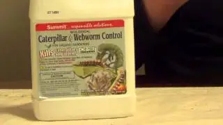 Biological Caterpillar & Webworm Control - Bacillus Thuringiensis