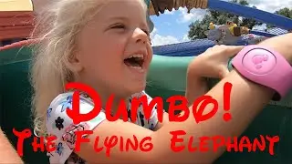 Dumbo Ride at Magic Kingdom in Walt Disney World