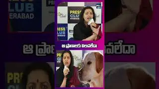 ఆ ప్రాణాలకు విలువలేదా .. |Renu Desai Fires on Stray Dog Killings | Animal Safety Debate in Hyderabad
