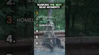 Ranking THE BEST Bear Moments #shorts #bear #funny