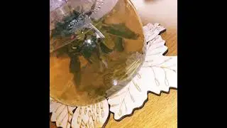 Чай зелёный байховый Шар Юй Лун Тао 